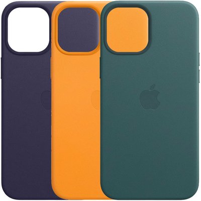Шкіряний чохол Leather Case (AAA) with MagSafe для Apple iPhone 12 Pro Max (6.7") 47063 фото