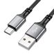 Дата кабель Borofone BX83 Famous USB to Type-C 64422 фото 2