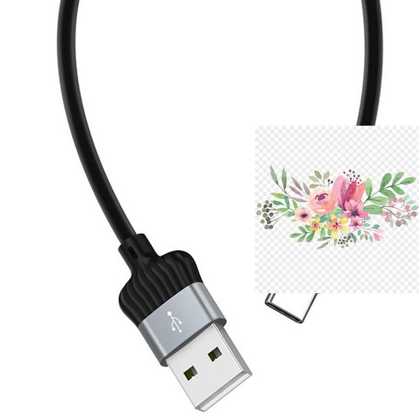 Дата кабель Borofone BX28 Dignity USB to Type-C (1m) 56894 фото