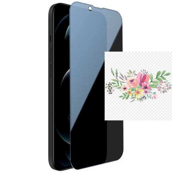 Захисне скло Privacy 5D Matte (full glue) (тех.пак) для Apple iPhone 13 / 13 Pro / 14 (6.1") 49057 фото